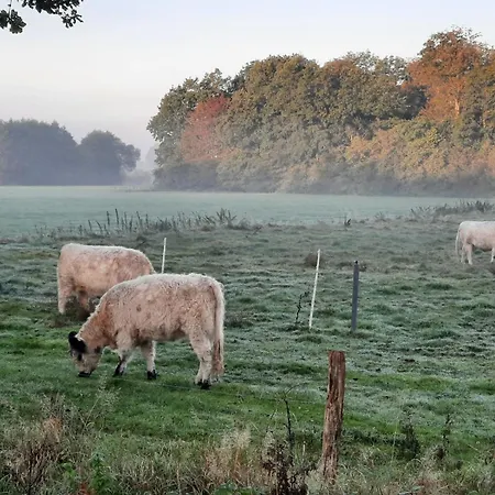 23 Familien Premium Pods 